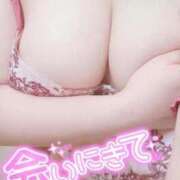 ヒメ日記 2025/11/18 13:02 投稿 こなつ 白いぽっちゃりさん