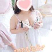 ヒメ日記 2025/11/18 22:32 投稿 こなつ 白いぽっちゃりさん