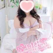 ヒメ日記 2025/11/19 07:47 投稿 こなつ 白いぽっちゃりさん