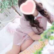 ヒメ日記 2025/11/19 22:32 投稿 こなつ 白いぽっちゃりさん