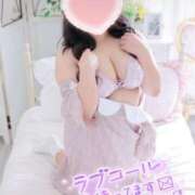 ヒメ日記 2025/11/21 07:32 投稿 こなつ 白いぽっちゃりさん