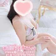 ヒメ日記 2025/11/25 12:52 投稿 こなつ 白いぽっちゃりさん