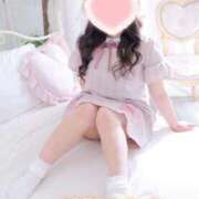 ヒメ日記 2025/11/29 22:32 投稿 こなつ 白いぽっちゃりさん