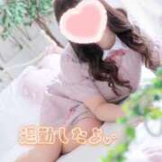 ヒメ日記 2025/12/07 22:32 投稿 こなつ 白いぽっちゃりさん