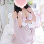 ヒメ日記 2025/12/08 14:12 投稿 こなつ 白いぽっちゃりさん