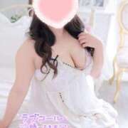 ヒメ日記 2025/12/09 10:02 投稿 こなつ 白いぽっちゃりさん