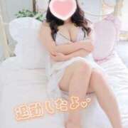 ヒメ日記 2025/12/09 22:32 投稿 こなつ 白いぽっちゃりさん