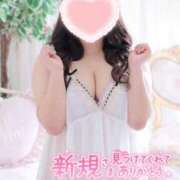 ヒメ日記 2025/12/14 16:02 投稿 こなつ 白いぽっちゃりさん