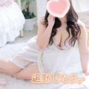 ヒメ日記 2025/12/14 22:33 投稿 こなつ 白いぽっちゃりさん