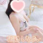 ヒメ日記 2025/12/15 22:32 投稿 こなつ 白いぽっちゃりさん