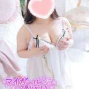 ヒメ日記 2025/12/17 07:12 投稿 こなつ 白いぽっちゃりさん