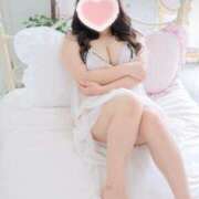 ヒメ日記 2025/12/30 07:02 投稿 こなつ 白いぽっちゃりさん