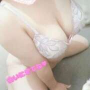 ヒメ日記 2025/12/30 11:34 投稿 こなつ 白いぽっちゃりさん