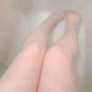 ヒメ日記 2026/01/12 14:52 投稿 こなつ 白いぽっちゃりさん