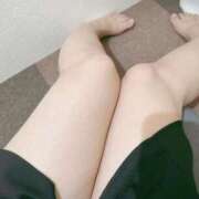 ヒメ日記 2026/01/21 19:22 投稿 こなつ 白いぽっちゃりさん