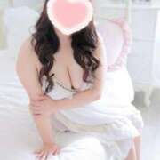 ヒメ日記 2026/02/01 12:42 投稿 こなつ 白いぽっちゃりさん