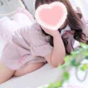 ヒメ日記 2026/02/04 07:12 投稿 こなつ 白いぽっちゃりさん