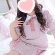 ヒメ日記 2026/02/06 09:12 投稿 こなつ 白いぽっちゃりさん