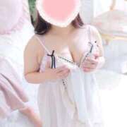 ヒメ日記 2026/02/13 11:12 投稿 こなつ 白いぽっちゃりさん