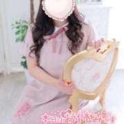 ヒメ日記 2026/02/27 08:02 投稿 こなつ 白いぽっちゃりさん