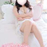 ヒメ日記 2026/02/27 12:52 投稿 こなつ 白いぽっちゃりさん