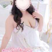 ヒメ日記 2026/02/27 17:32 投稿 こなつ 白いぽっちゃりさん