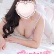 ヒメ日記 2026/02/27 23:32 投稿 こなつ 白いぽっちゃりさん