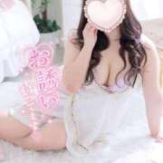 ヒメ日記 2026/02/28 08:12 投稿 こなつ 白いぽっちゃりさん