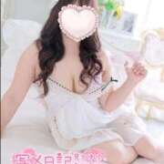 ヒメ日記 2026/02/28 16:02 投稿 こなつ 白いぽっちゃりさん