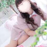 ヒメ日記 2026/02/28 23:12 投稿 こなつ 白いぽっちゃりさん