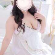 ヒメ日記 2026/03/14 10:18 投稿 こなつ 白いぽっちゃりさん