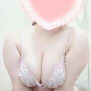 ヒメ日記 2026/03/17 14:28 投稿 こなつ 白いぽっちゃりさん