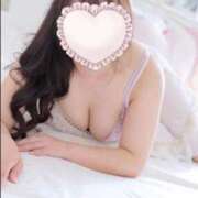 ヒメ日記 2026/03/19 08:48 投稿 こなつ 白いぽっちゃりさん