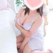 ヒメ日記 2026/03/28 11:22 投稿 こなつ 白いぽっちゃりさん