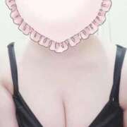 ヒメ日記 2026/03/29 16:08 投稿 こなつ 白いぽっちゃりさん