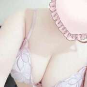 ヒメ日記 2026/04/12 17:28 投稿 こなつ 白いぽっちゃりさん