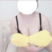 ヒメ日記 2026/04/14 15:28 投稿 こなつ 白いぽっちゃりさん