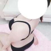 ヒメ日記 2026/04/15 08:25 投稿 こなつ 白いぽっちゃりさん