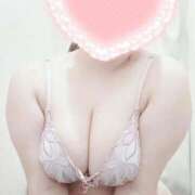 ヒメ日記 2026/04/17 22:18 投稿 こなつ 白いぽっちゃりさん