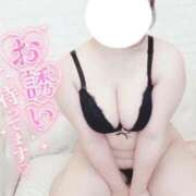 ヒメ日記 2026/04/18 08:28 投稿 こなつ 白いぽっちゃりさん