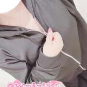 ヒメ日記 2026/04/18 10:23 投稿 こなつ 白いぽっちゃりさん