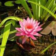 ヒメ日記 2025/07/06 10:45 投稿 ゆいか 熟女家 東大阪店（布施・長田）