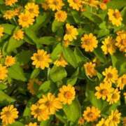 ヒメ日記 2025/07/10 16:55 投稿 ゆいか 熟女家 東大阪店（布施・長田）