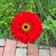 ヒメ日記 2025/10/07 01:55 投稿 ゆいか 熟女家 東大阪店（布施・長田）