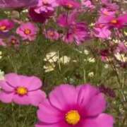 ヒメ日記 2025/10/23 00:05 投稿 ゆいか 熟女家 東大阪店（布施・長田）