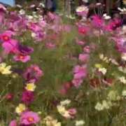 ヒメ日記 2025/10/26 10:25 投稿 ゆいか 熟女家 東大阪店（布施・長田）