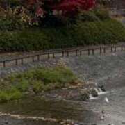 ゆいか 安らぎの時間を…♡ 熟女家 東大阪店（布施・長田）