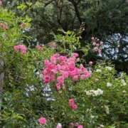 ヒメ日記 2026/06/03 21:45 投稿 ゆいか 熟女家 東大阪店（布施・長田）