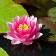 ヒメ日記 2026/08/25 23:35 投稿 ゆいか 熟女家 東大阪店（布施・長田）