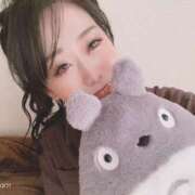 ヒメ日記 2025/08/18 09:15 投稿 糸(いと） 男爵